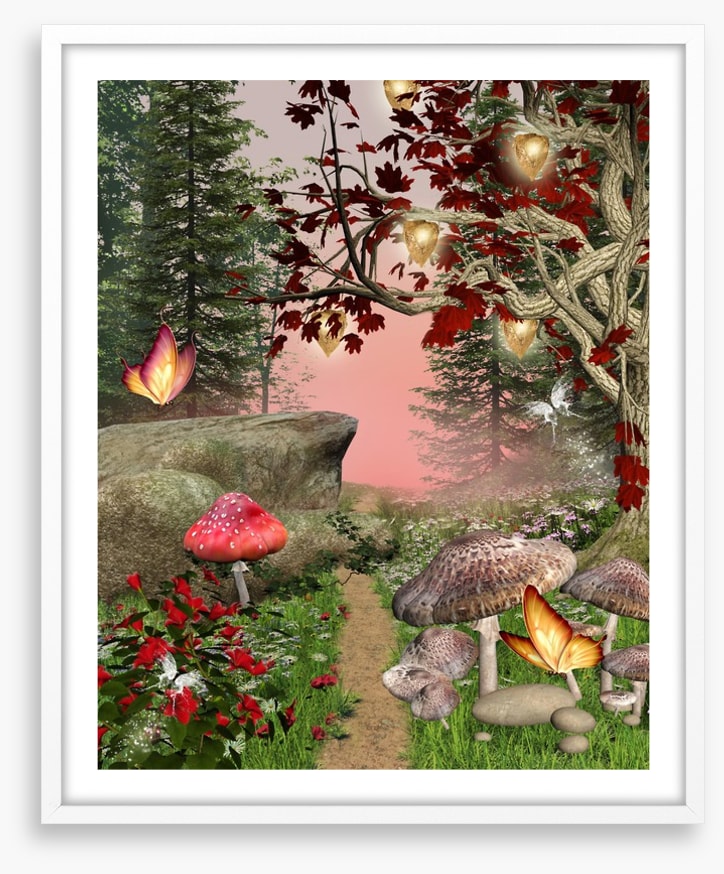 The enchanted forest