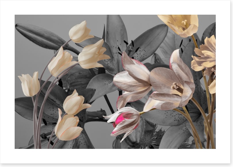 Tulip trends