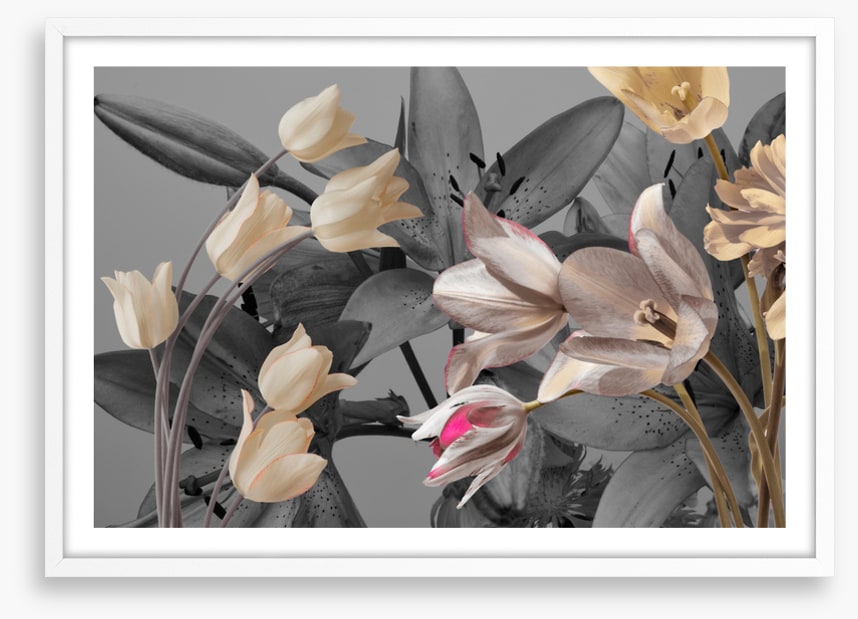 Tulip trends