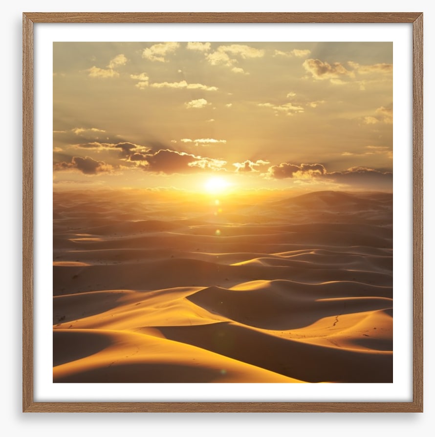 Desert