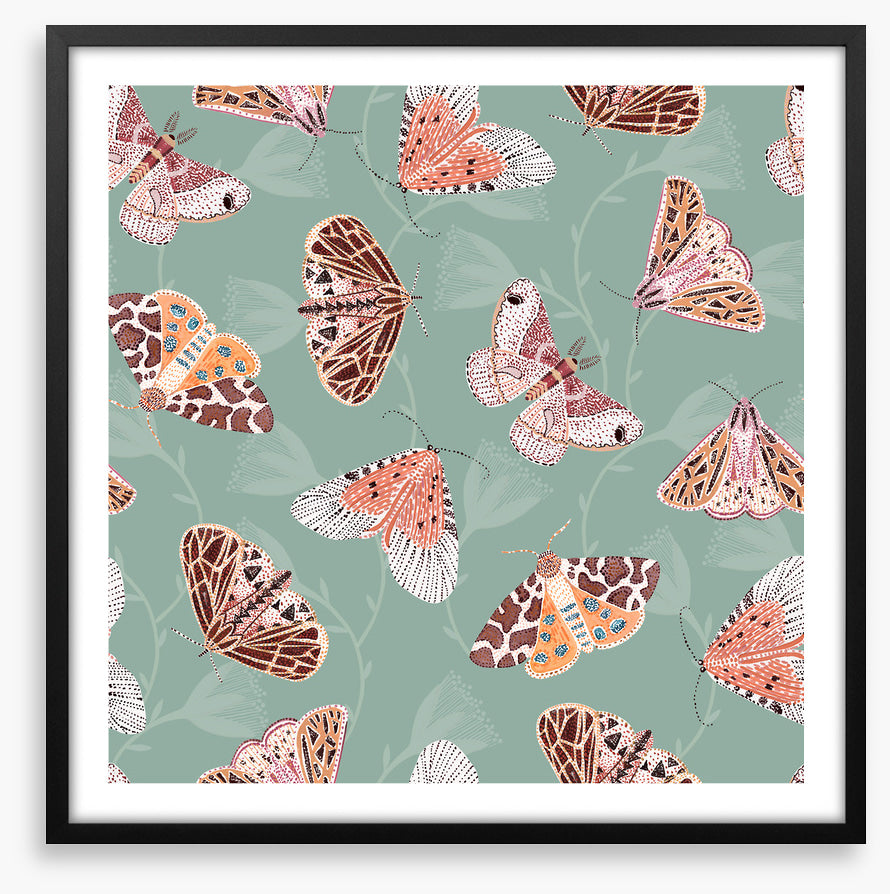 Butterflies