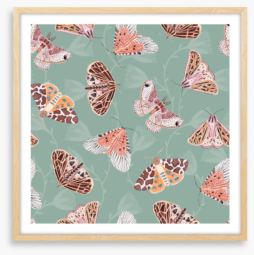 Butterflies