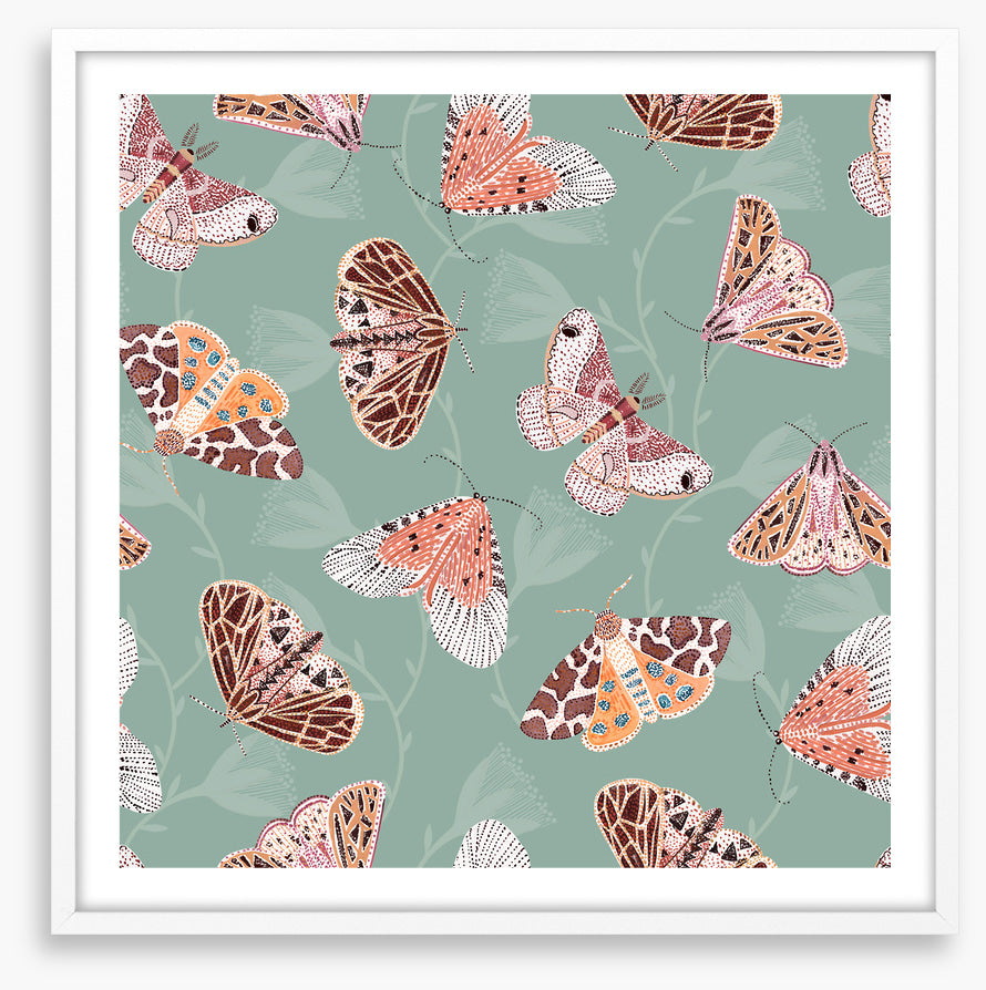 Butterflies
