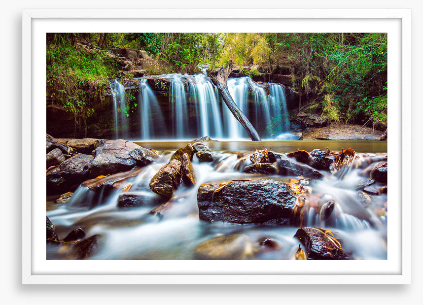 Timber falls