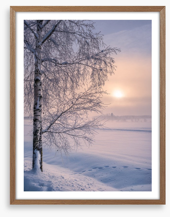 Soft winter sunrise