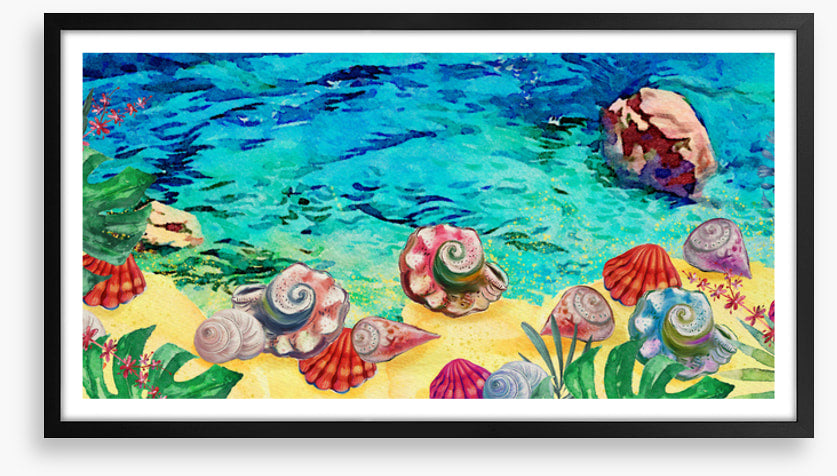 Seashell shores