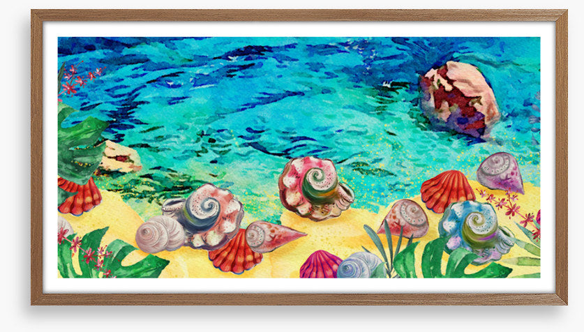 Seashell shores