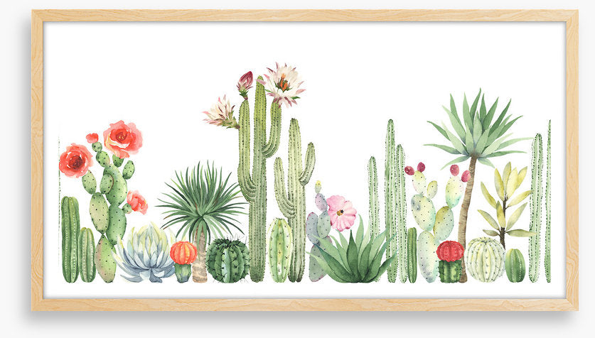 The cactus crowd