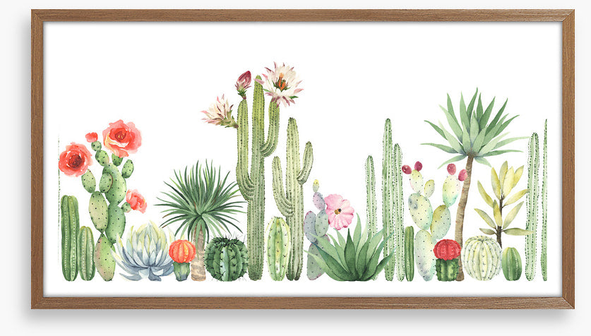 The cactus crowd