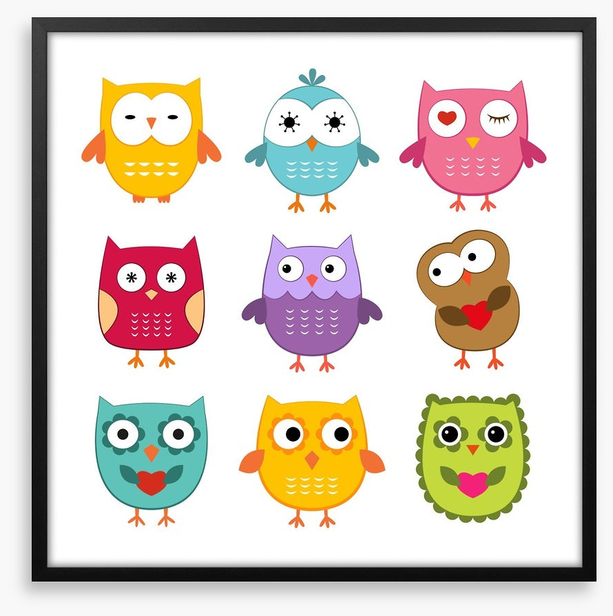 Owls