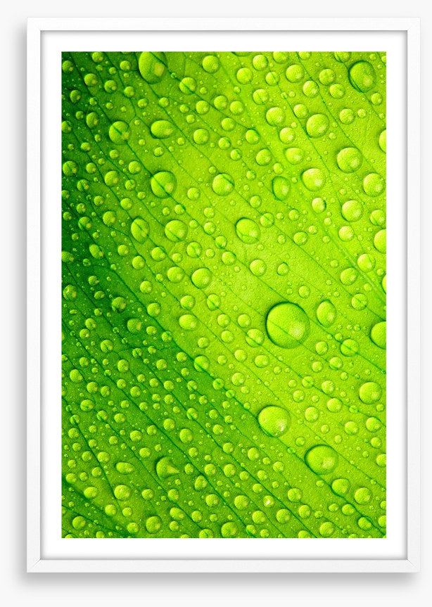 Green leaf drops