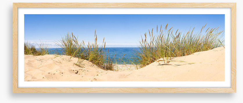 Sandgrass panorama