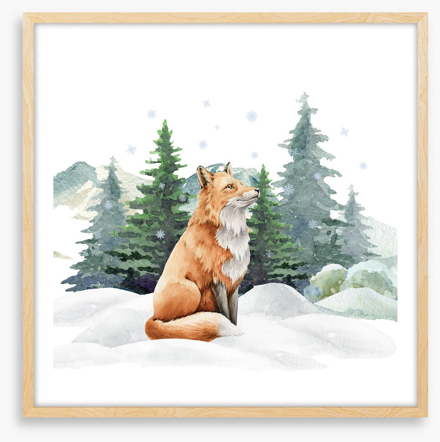 Fir tree fox