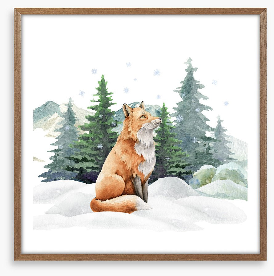 Fir tree fox