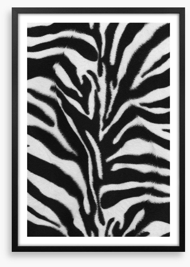 Animal Print