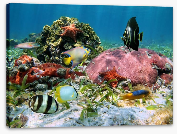 Underwater