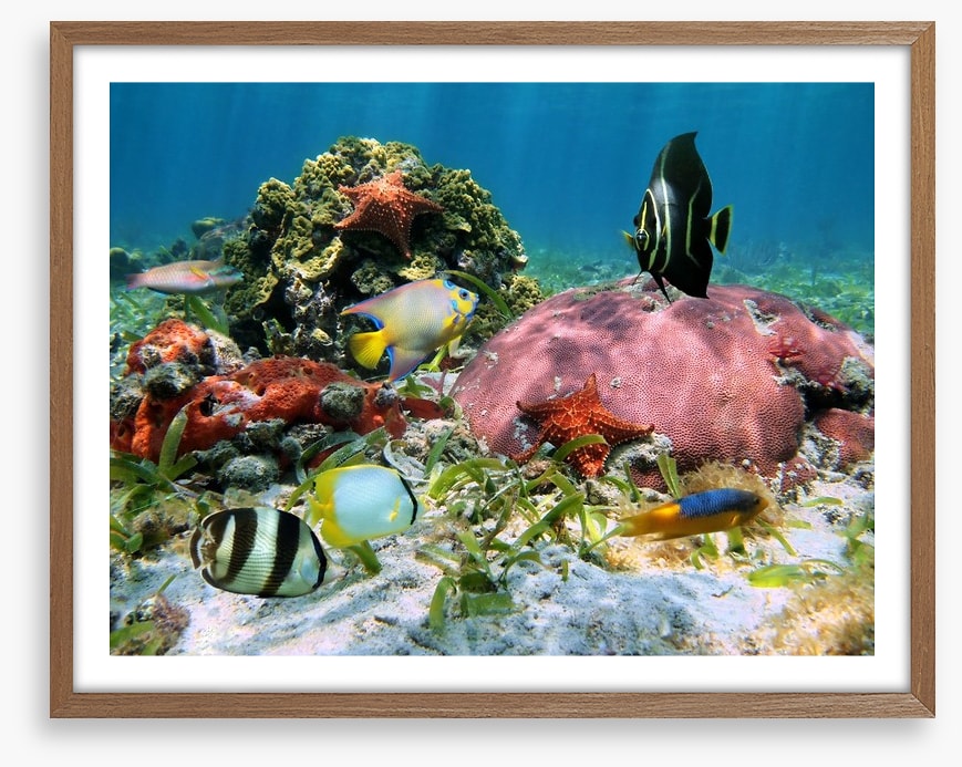 Underwater