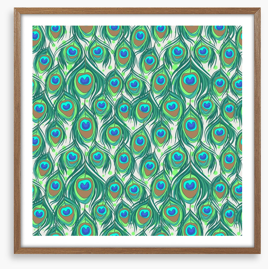 Peacock feathers