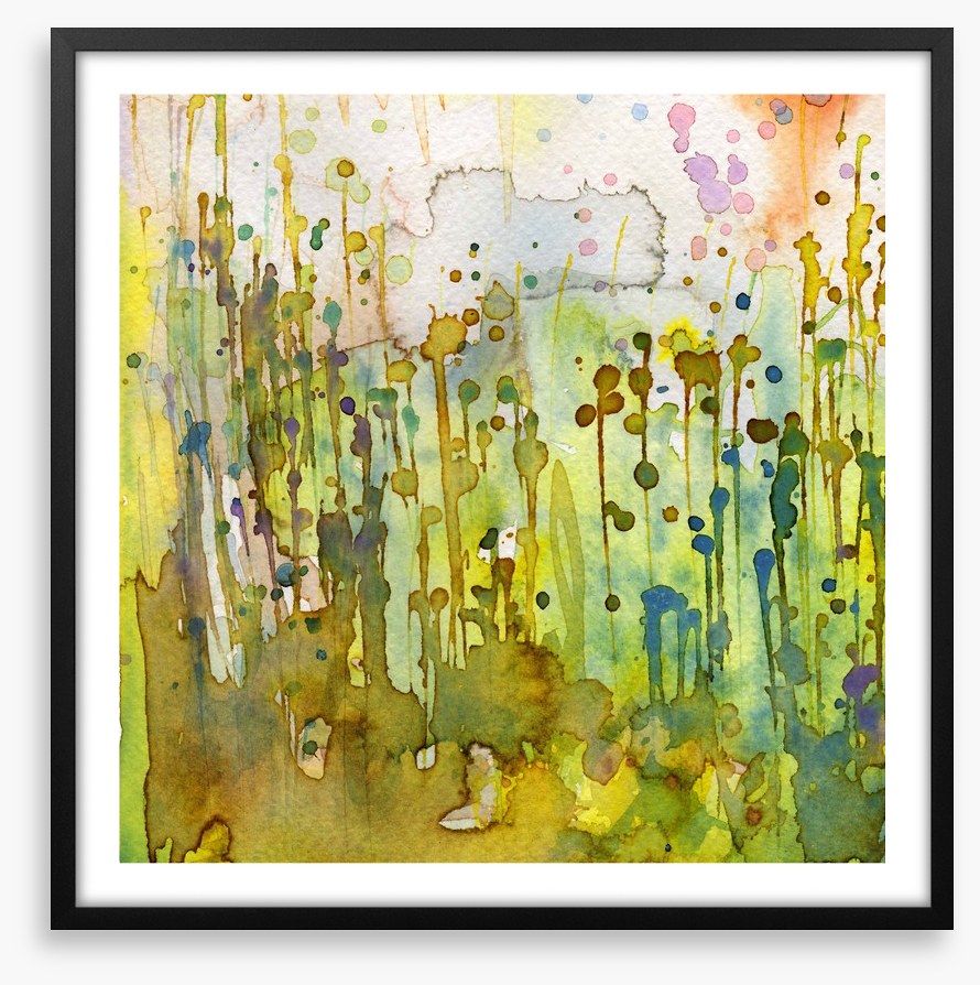 Nature splash