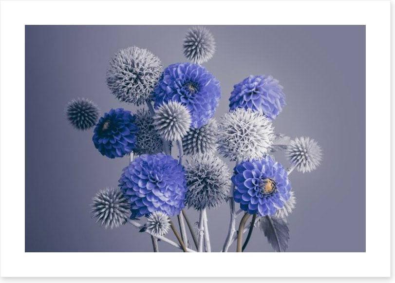 Spheres of spring