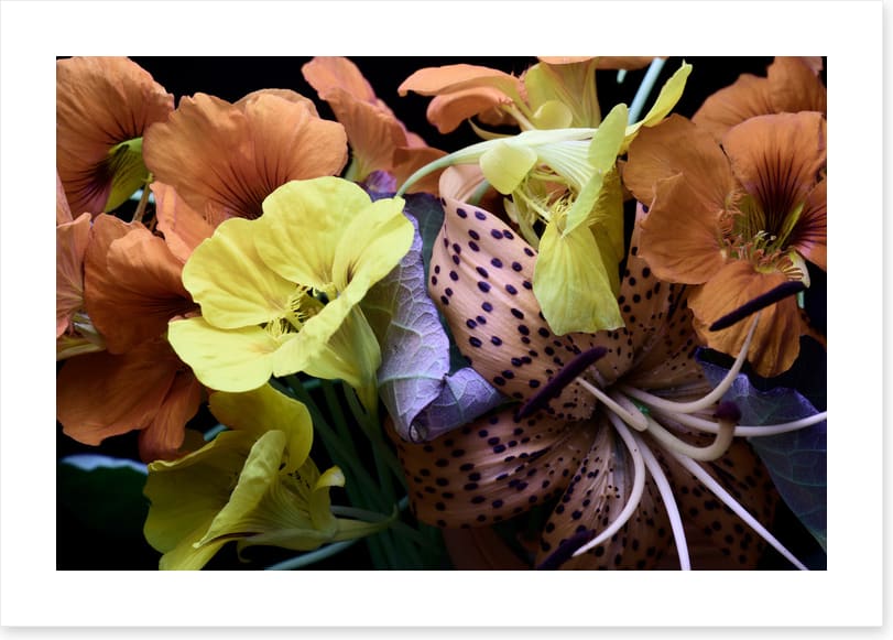 Nasturtium by nature