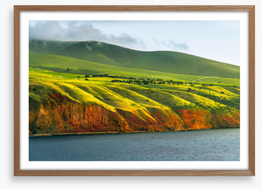 Greens to gold
