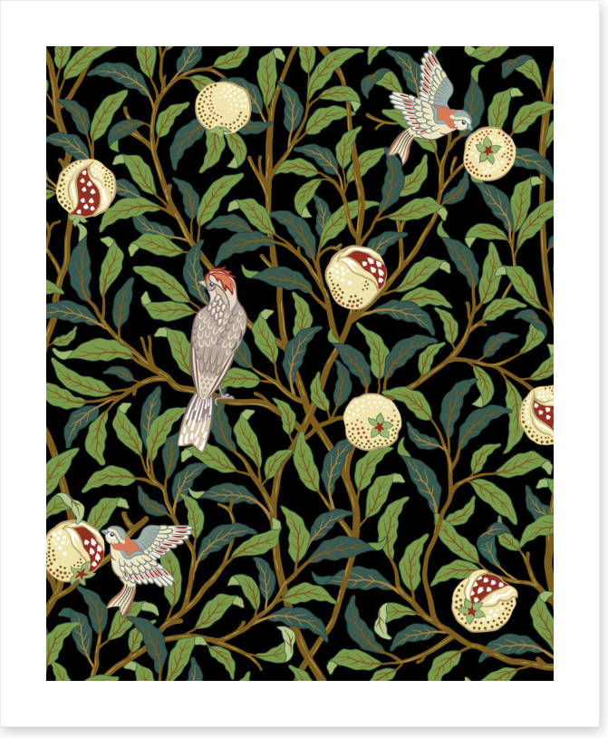 The pomegranate thieves