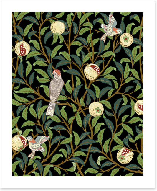 The pomegranate thieves