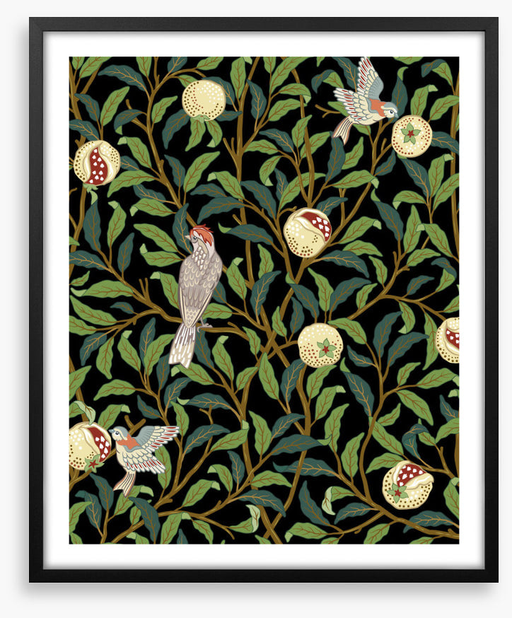 The pomegranate thieves