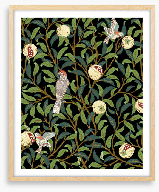 The pomegranate thieves