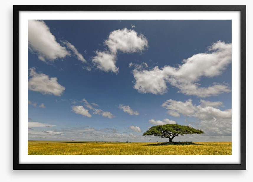 Alone in the grasslands