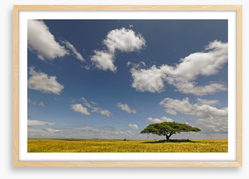 Alone in the grasslands