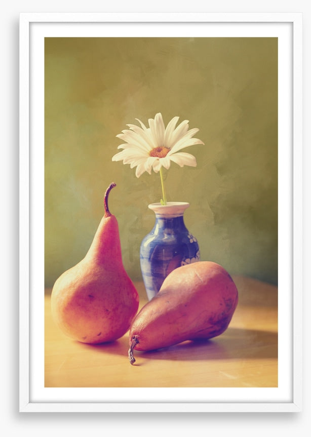 Daisy pears