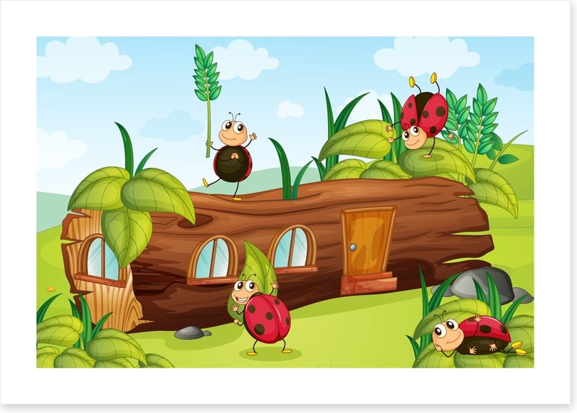 The ladybug log