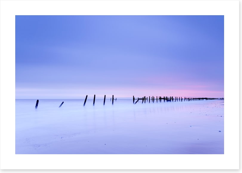 Defense line at dawn