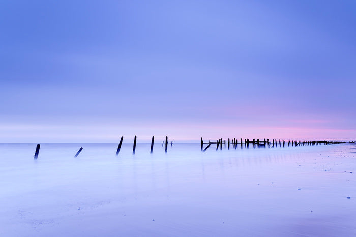 Defense line at dawn