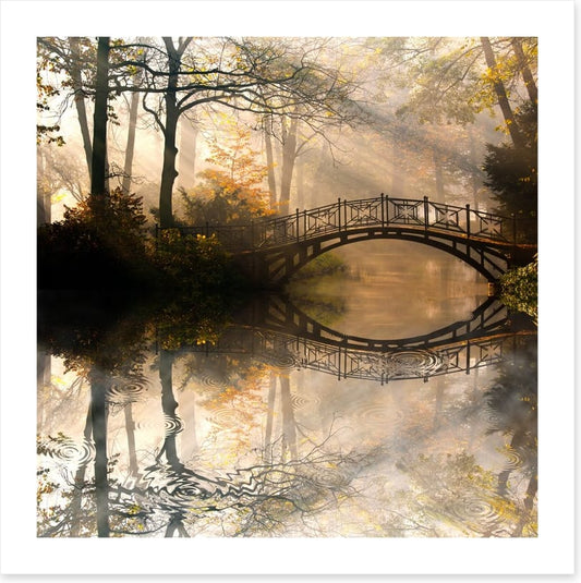 Old bridge in the misty park