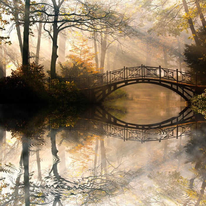 Old bridge in the misty park