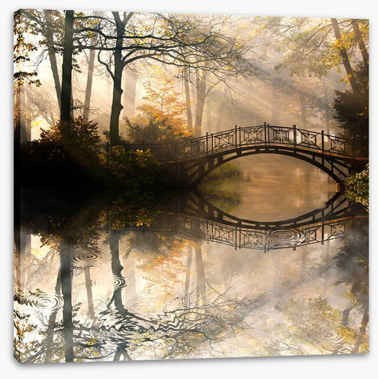 Old bridge in the misty park