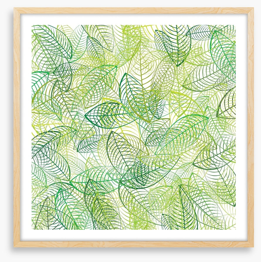 Summer leaves