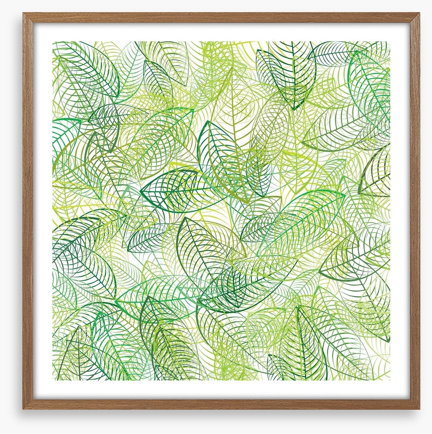 Summer leaves