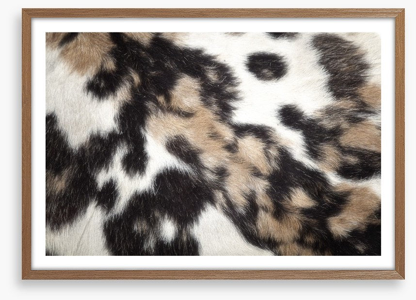 Animal Print