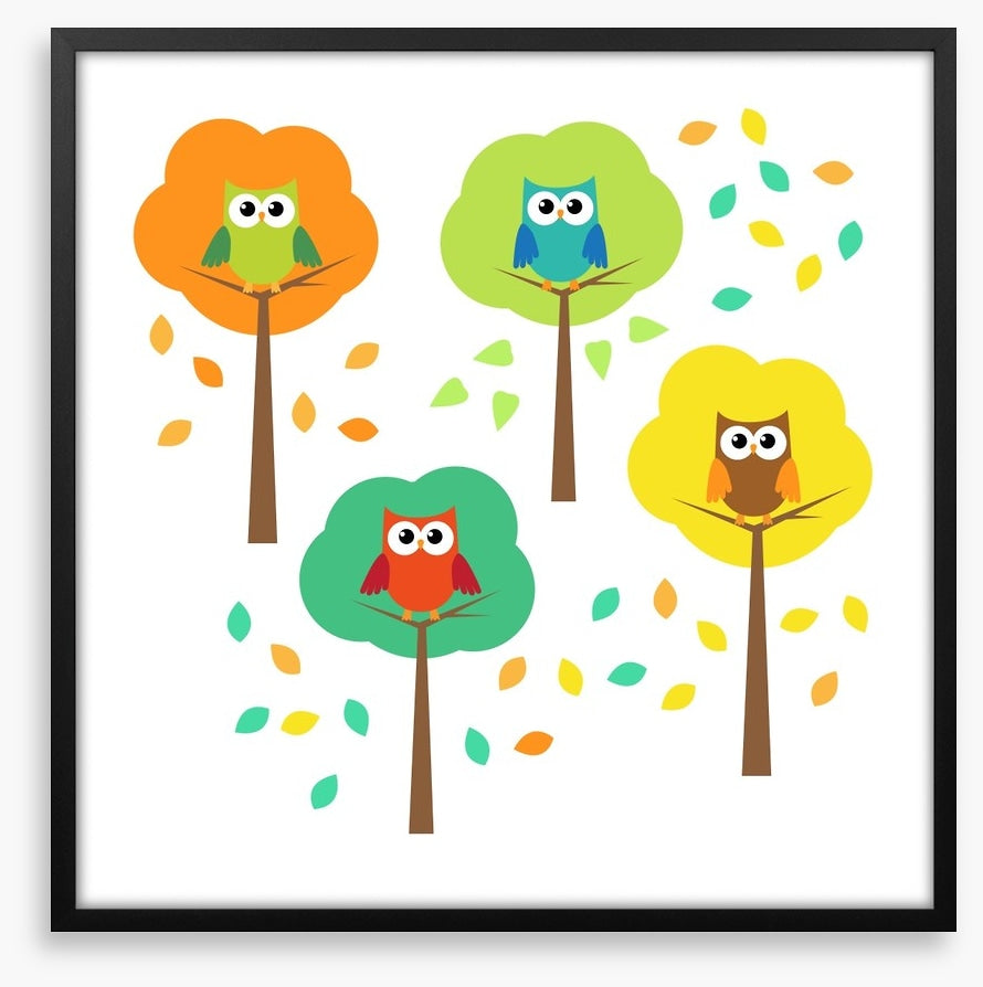 Owls
