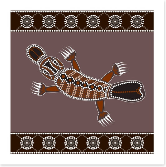 Platypus in the creek