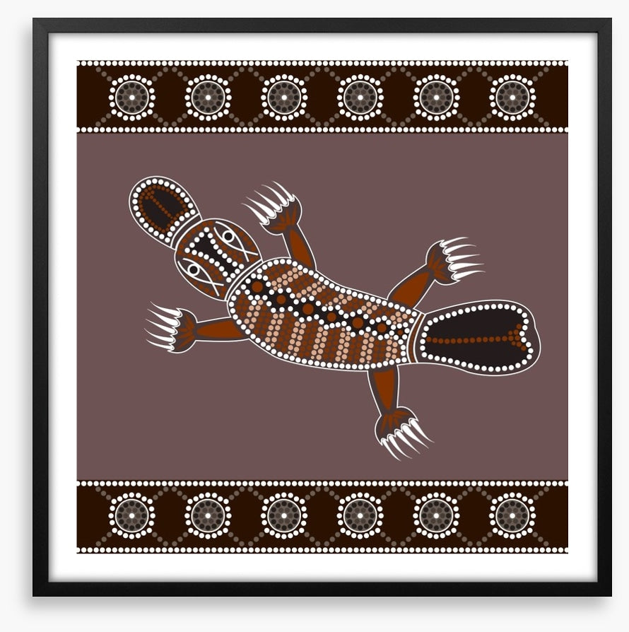 Platypus in the creek