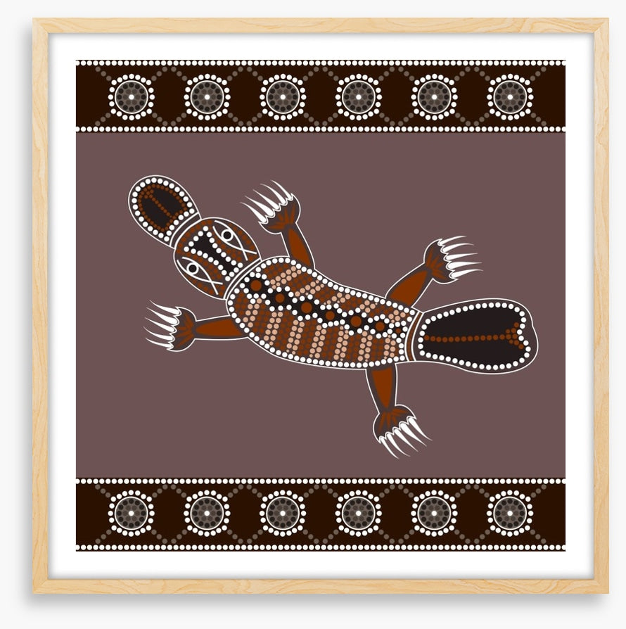 Platypus in the creek