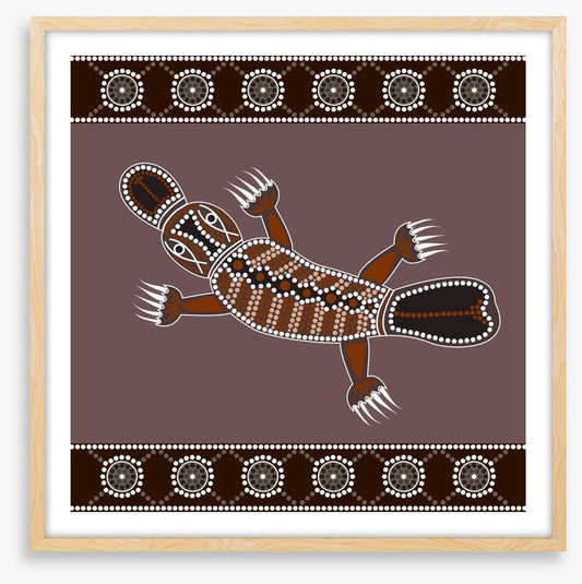 Platypus in the creek