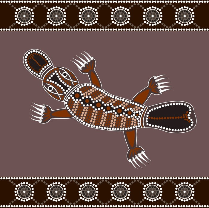 Platypus in the creek