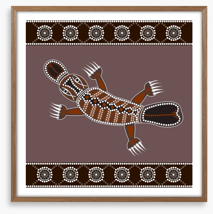 Platypus in the creek