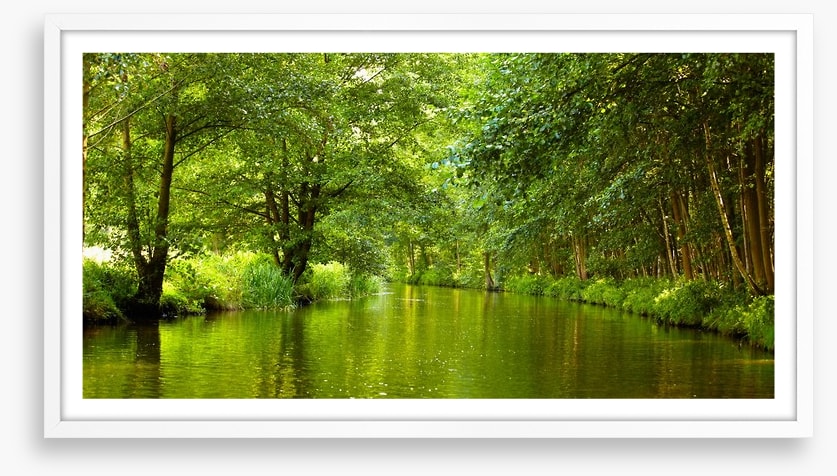 Vibrant forest river
